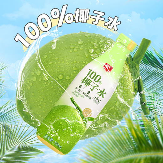 椰子水780ml 椰青果汁运动饮料NFC100%家庭聚会【店长推荐】 商品图3