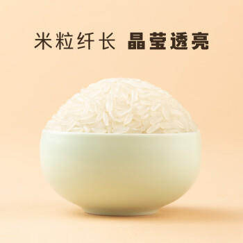 十月稻田 当季新米 绿色食品 五常大米 10斤（香米 东北大米 5公斤） /粮油调味 /米 /长粒香米 商品图3