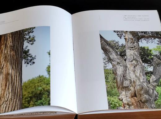 《木鉴：中国古代家具用材鉴赏》《木典：中国古代家具用材研究》，精装，16开，周默著，江苏凤凰美术出版社2021-2022年版，340+800页，分别定价：198、368元，分别售价：
95、180元。 商品图12