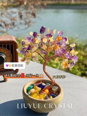 【桌面氛围感好物】天然水晶树 前程似锦上岸树 挑选大颗粒且亮黄的 树形茂密 实物成色很好哟～
