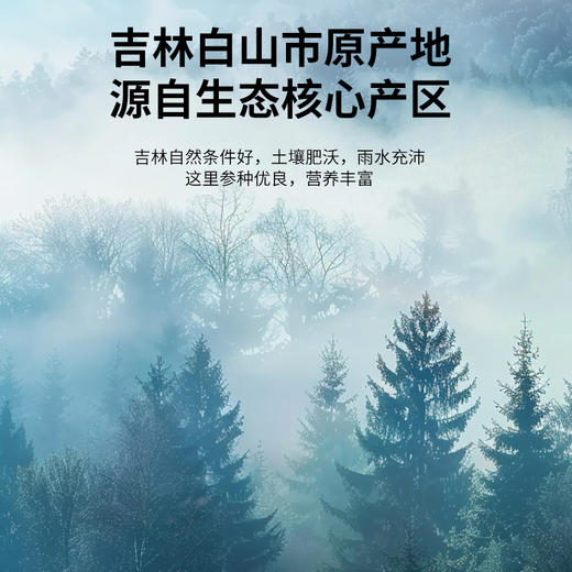 【正宗同仁堂品牌】北京同仁堂 青源堂 国产西洋参5号圆片-250克（10克×25）1.0-1.2   优质参片 礼盒包装SY 商品图8