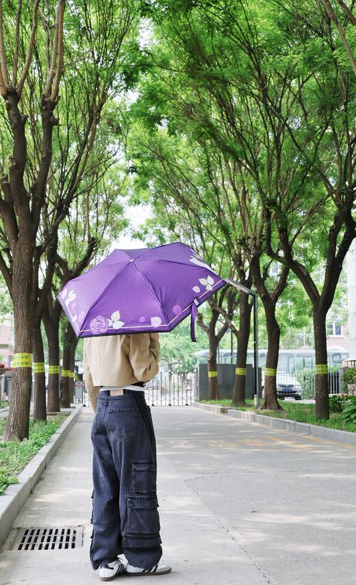 豹越繁花 五折晴雨伞 商品图1