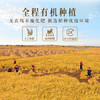 裕道府当季新米 五常大米 有机东北大米  5kg 10斤装 有机食品 /粮油调味 /米 /稻花香米 商品缩略图0