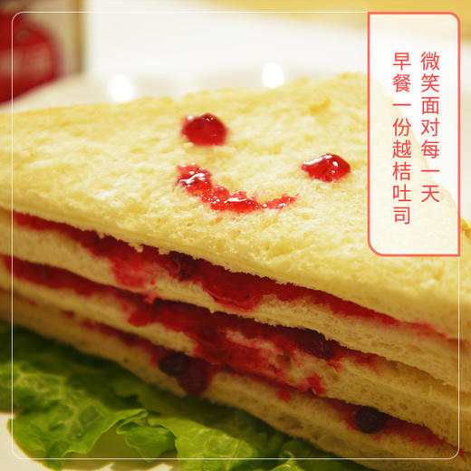 北极红越桔果酱180g*1瓶 商品图3