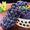 【云南蓝莓葡萄】颗颗饱满 果肉晶莹饱满 酸甜多汁 风味浓郁 无籽葡萄 3种规格任选 商品缩略图3