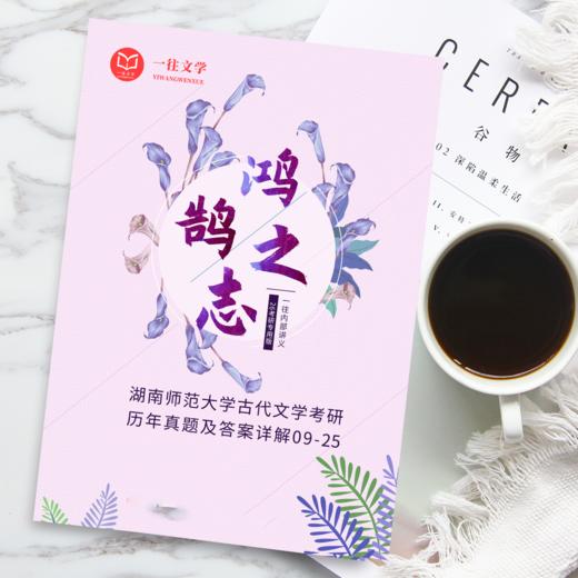 26版湖南师范古代文学专业考研历年真题及答案详解2009-2025年中国文学史和作品选共17年34套 商品图4
