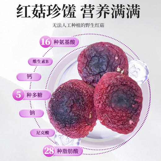 在菌屋 正宗武夷山纯野生大红菇250g/罐 正红蓝底大红菇 汤色红艳鲜甜 商品图3