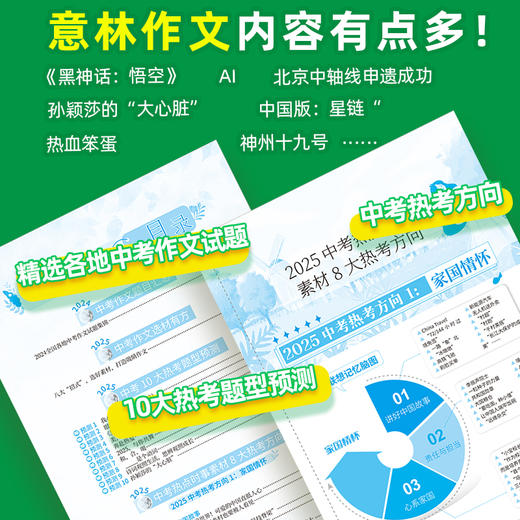 意林 2025中考作文冲刺热点考点素材 商品图4