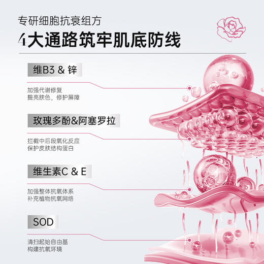 【营养师专属G】Biocyte碧维斯永恒复兴玫瑰胶囊 熟龄肌抗衰胶原蛋白再生重塑面部立体感 商品图2