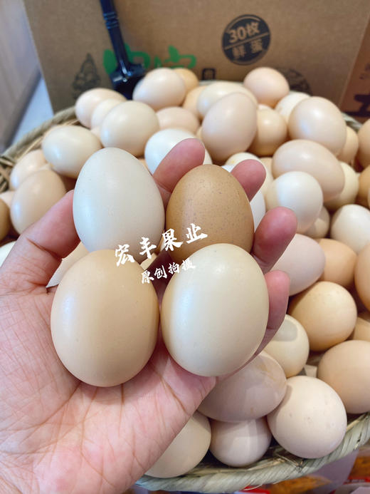 宏丰精选  深山土鸡蛋  正宗农家土鸡蛋一箱30个装，活动价35元一件 商品图2