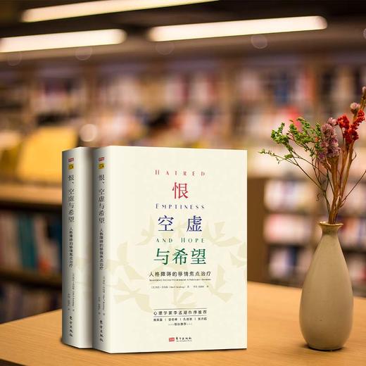 恨、空虚与希望：人格障碍的移情焦点治疗 商品图2