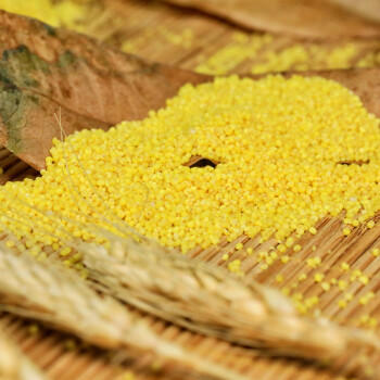 沐谷 东北黄小米5斤袋装 朝阳黄金苗小米粥25年新米东北大金苗米  /粮油调味 /杂粮 /谷米类 商品图2