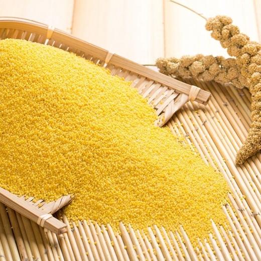 百鲜翁 庆阳小米 2.5kg 商品图4