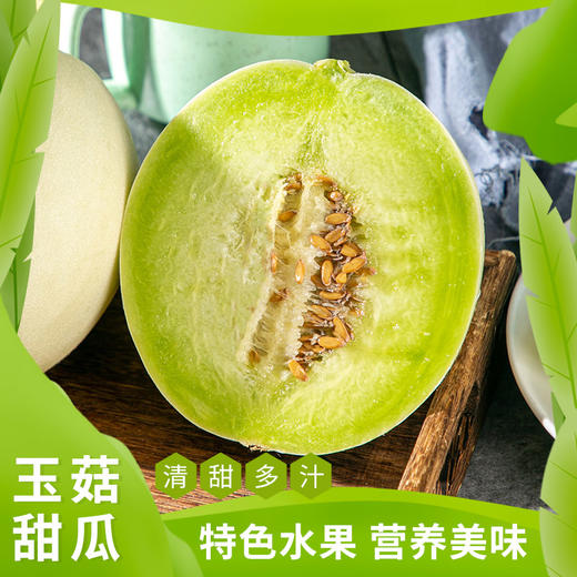 [屁侠推荐]冰淇淋玉菇甜瓜 一藤一瓜娇养的“独生子”  软糯香甜 商品图1