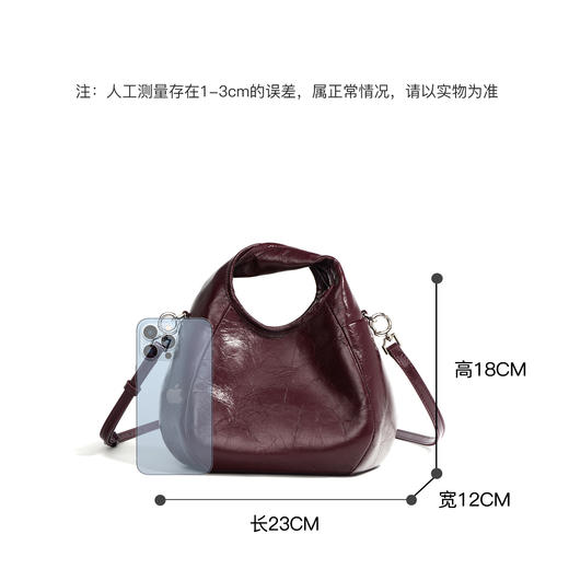 【预售3天】2025新款高级高级感单肩斜挎包F9788A 商品图3