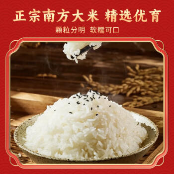 庄品健 绘福香丝苗米10斤 长粒香大米5kg 籼米猫牙米 当季新米 /粮油调味 /米 /丝苗米 商品图3