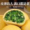 手工野菜团子480g 当季野菜现摘现做 玉米面手工现包 老面自然醒发3道工序 每天只出50笼 商品缩略图4