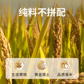 农民乐正宗东北珍珠大米 50斤 当季新米  优选香米贡米粳米家庭装 /粮油调味 /米 /稻花香米 商品图1