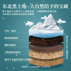 十月稻田 当季新米 寒地之最 五常大米 5kg*2/箱装（东北大米 20斤） /粮油调味 /米 /稻花香米