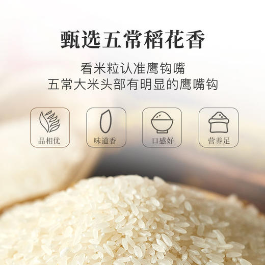 【北大荒】五常大米 5kg 电商专享 商品图4
