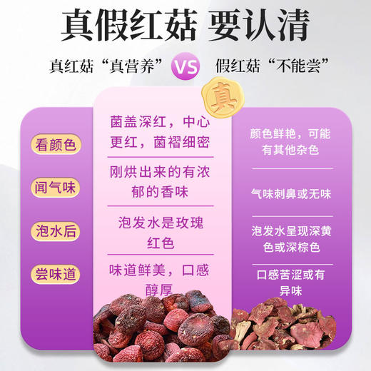 在菌屋 正宗武夷山纯野生大红菇250g/罐 正红蓝底大红菇 汤色红艳鲜甜 商品图1