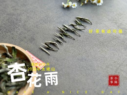 【新茶上市】2025清明白牡丹，春茶复购率排行第一的白茶，汤水花香盈盈，清鲜甘淳，美不胜收（一斤收藏装） 商品图2