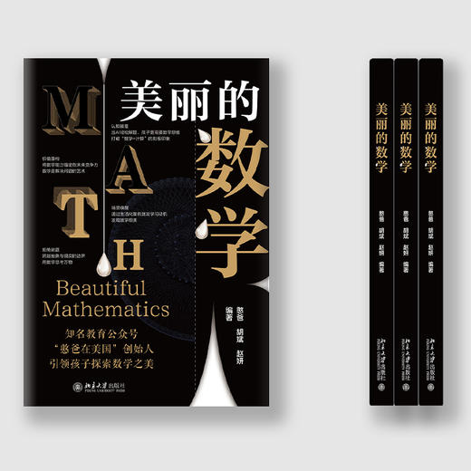 美丽的数学 商品图3