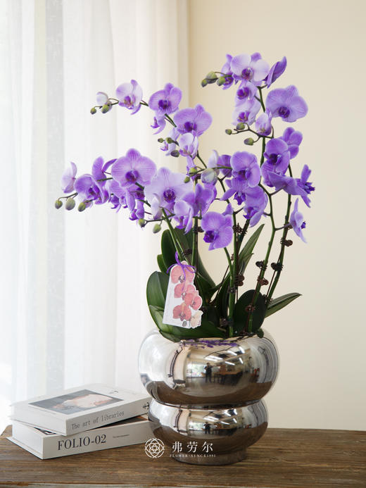 圆形银色马卡龙紫色 商品图0