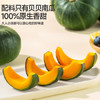 三只松鼠即食贝贝南瓜660g箱装免煮甜糯健康轻食板栗低脂健身代餐方便食品 /粮油调味 /方便食品 /速食预制主食 商品缩略图7