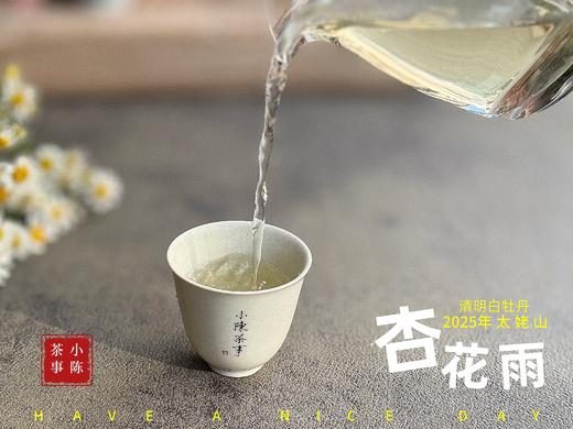 【新茶上市】2025清明白牡丹，春茶复购率排行第一的白茶，汤水花香盈盈，清鲜甘淳，美不胜收（一斤收藏装） 商品图11