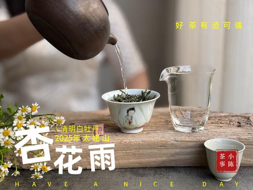 【新茶上市】2025清明白牡丹，春茶复购率排行第一的白茶，汤水花香盈盈，清鲜甘淳，美不胜收（一斤收藏装） 商品图7