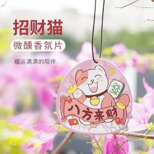 Small egg小鸡蛋防晒水 晶透水光防晒喷雾 清爽 轻柔不花妆 SPF50+ 80ml/瓶（购买3瓶赠送挂绳+香片） 商品图14