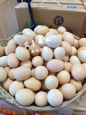 宏丰精选  深山土鸡蛋  正宗农家土鸡蛋一箱30个装，活动价35元一件
