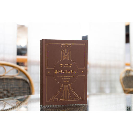 非洲法律发达史（修订版） 何勤华 洪永红主编 程迈执行主编 法律出版社 商品图1