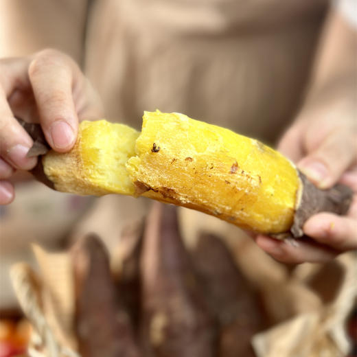 蜜薯界的“猫山王”-榴莲蜜薯、吃起来软糯香甜、完全不干不噎、丝滑香甜，蒸烤双吃‼粗粮代餐首选 商品图0