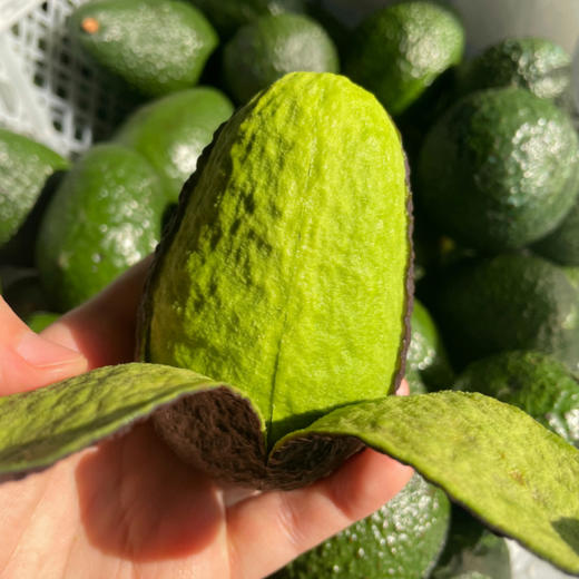 秘鲁【树熟即食牛油果】绵密软糯，口感细腻、柔软香醇可口、滋味浓郁、自然成熟！【顺丰快递】 商品图6