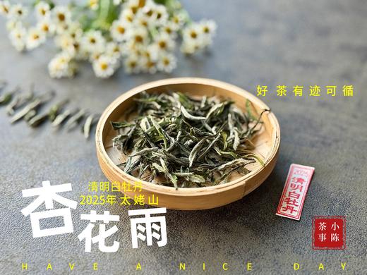 【新茶上市】2025清明白牡丹，春茶复购率排行第一的白茶，汤水花香盈盈，清鲜甘淳，美不胜收（一斤收藏装） 商品图4