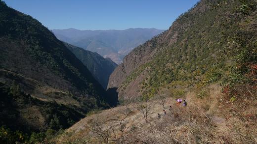 珍品高山野生冬蜜 商品图4