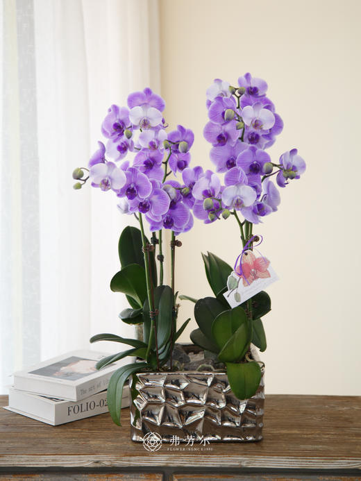 银色方盆马卡龙紫色 商品图0