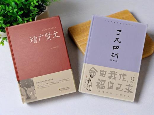 世上最厉害的好运（《了凡四训》《增广贤文》） 商品图0