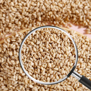 汇营 香辛料 熟白芝麻 炒熟芝麻粒低温炒制五谷杂粮 即食干吃免洗 /粮油调味 /调味品 /复合香辛料 商品图5