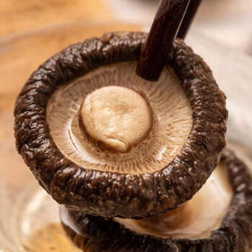 沛沛佳 云南香菇精选干货500g 煲汤炒菜食材 源头直发包邮 /粮油调味 /南北干货 /菌菇干货