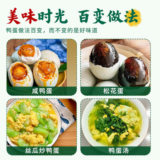 【杨博士自营 鲜鸭蛋30枚】杨博士溪水河鸭土鸭 农家散养鸭蛋新鲜60克/枚正宗 商品图4