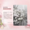 【4瓶装】西班牙花卉诗Flowership古堡密香香氛洗衣液2020g/桶 商品缩略图4