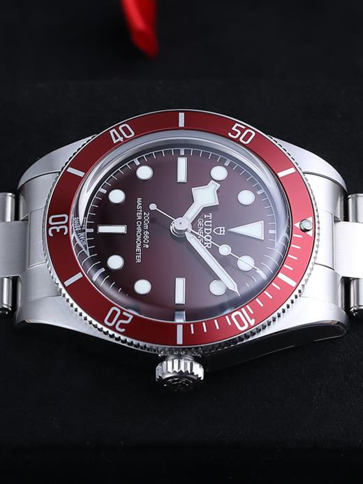 帝舵M7939A1A0RU-0002 商品图3