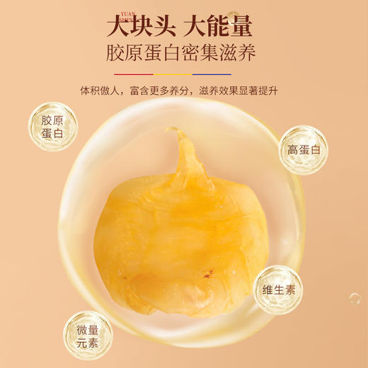 福东海 鱼胶（赤嘴）100克 赤嘴鱼胶陈年花胶红鸡赤嘴鳘湛江深海肚干货孕妇月子 商品图6