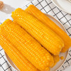 穗康黄糯玉米大棒4.16斤（260g*8支）真空包装软糯粗粮代餐营养早餐 /粮油调味 /杂粮 /谷米类 商品缩略图7