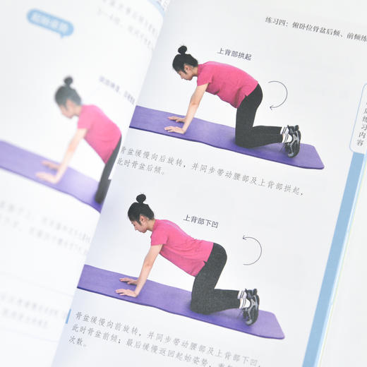 骨盆前倾自救 28天有效改善腰痛 小腹凸出与假胯宽 	盆底觉醒 商品图1