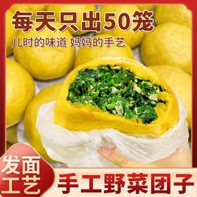 手工野菜团子480g 当季野菜现摘现做 玉米面手工现包 老面自然醒发3道工序 每天只出50笼