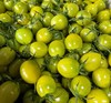 【BF】绿宝石小番茄500g/39.8元 商品缩略图0